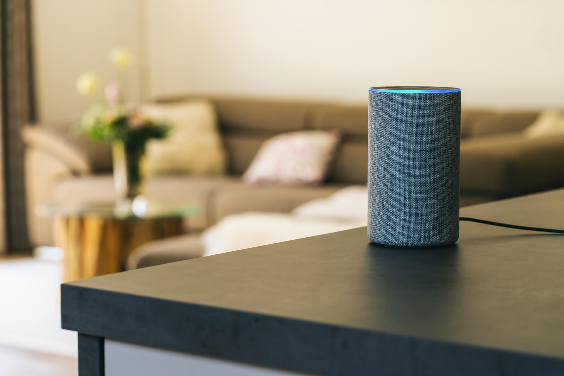 Riadenie domácnosti pomocou Google Home a Amazon Alexa